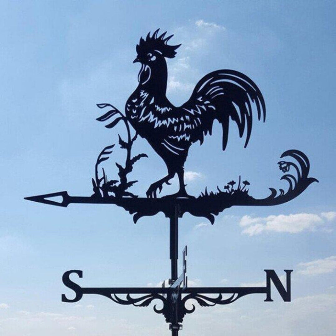 Decorative Weather Vane for Yard – Stainless Steel Wind Direction Indicator, Weatherproof Garden Accent | Thomler