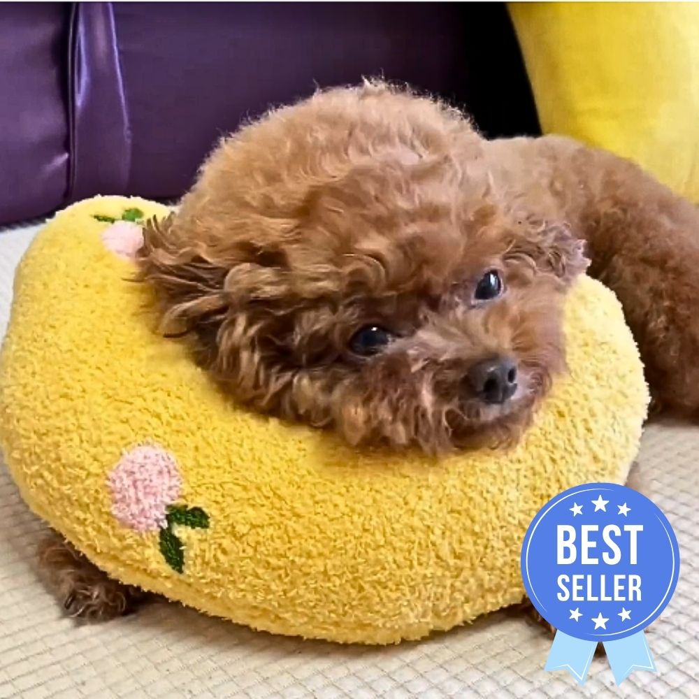 Bolstered Pet Bed for Dogs & Cats | Anxiety Relief Sleeping Cushion with Raised Edges | Machine Washable Portable Travel Pillow | Plush | Thomler