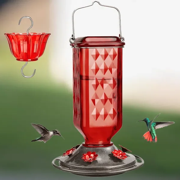 Glass Hummingbird Feeder with 6 Feeding Ports & Ant Moat – 24 fl oz Capacity for Backyard Birds | Thomler