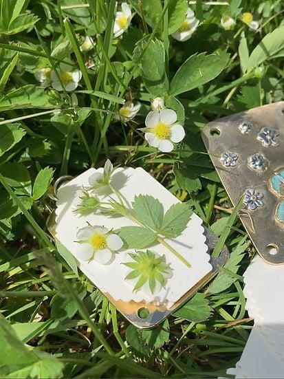 Compact Metal Botanical Press for Dried Flowers & Leaves – Portable Travel Herbarium Kit for Nature Journaling & Resin Crafts | Thomler
