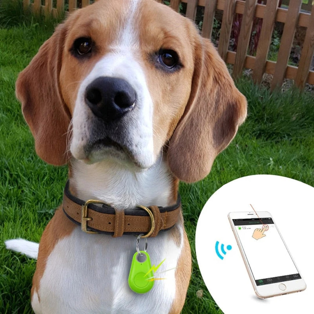 GPS Tracker Compact Real Time Geofencing iOS Android Children Pets Luggage Vehicle Location Tag | Thomler