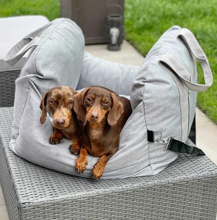 Portable Pet Carrier Booster Seat with Safety Harness and Washable Cover for Small Dogs | Thomler