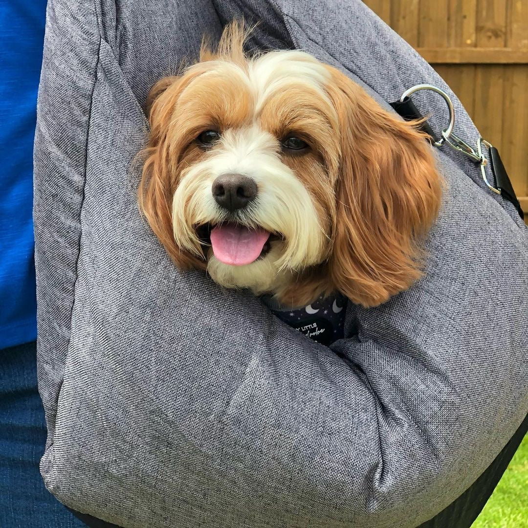 Portable Pet Carrier Booster Seat with Safety Harness and Washable Cover for Small Dogs | Thomler