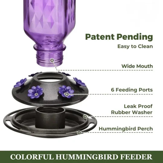 Glass Hummingbird Feeder with 6 Feeding Ports & Ant Moat – 24 fl oz Capacity for Backyard Birds | Thomler