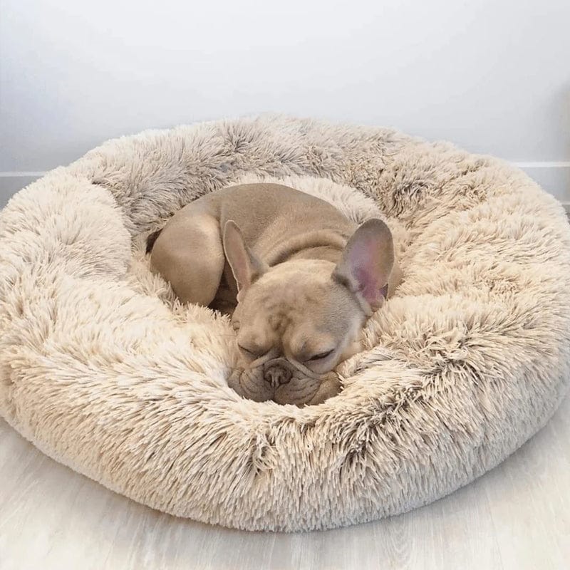 Round Plush Pet Bed with Raised Rim for Dogs & Cats | Anti-Anxiety Donut Cushion for Small Medium Large Pets | Machine Washable | Thomler