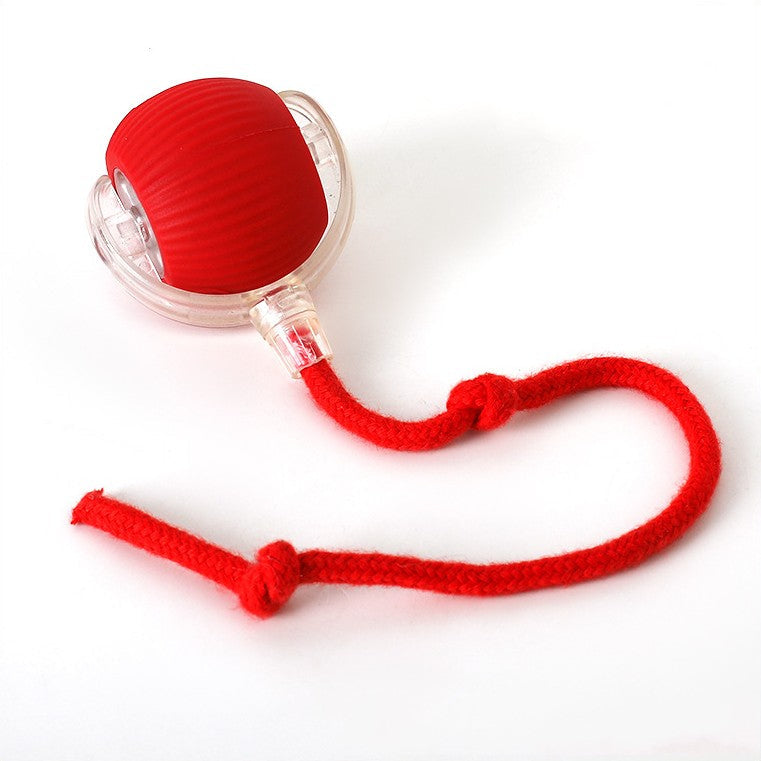 Self-Rolling Interactive Cat Toy with Wiggling Tail – USB Rechargeable Motion Toy for Indoor Cats | Thomler