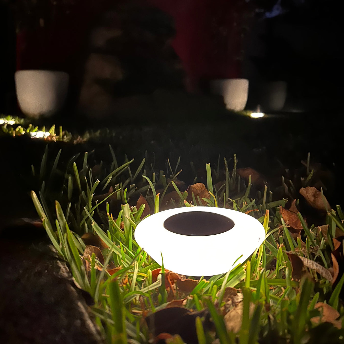 Solar Ground Lights for Pathways & Lawns – Weather-Resistant LED In-Ground Garden Markers, Auto On/Off Dusk Sensor | Thomler