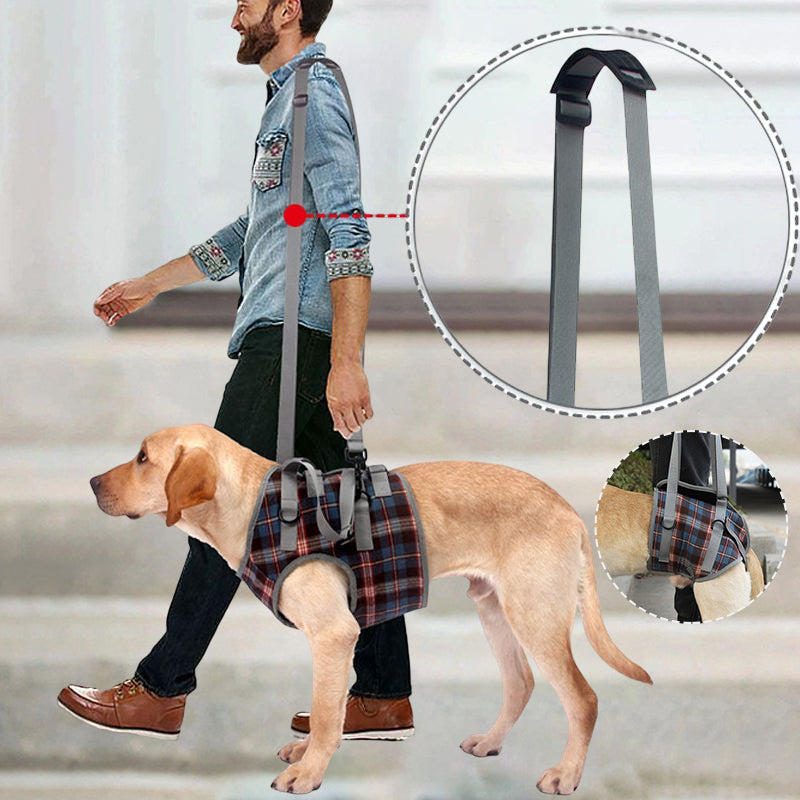 Rear Leg Support Harness for Dogs – Adjustable Lift Sling for Hip Stability, Arthritis & Mobility Assistance | Thomler