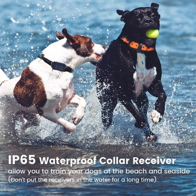 Rechargeable Remote Dog Training Collar with Vibration & Sound Modes – Waterproof E-Collar for All Breeds, 2600 ft Range | Thomler