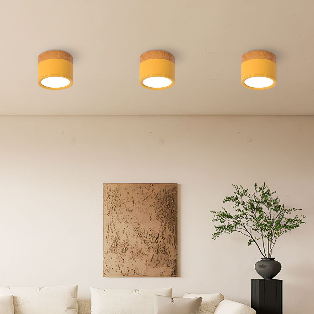 Ceiling Light Aluminium Wood LED 5W 7W Modern Hallway Living Room Surface Mount Lamp | Thomler