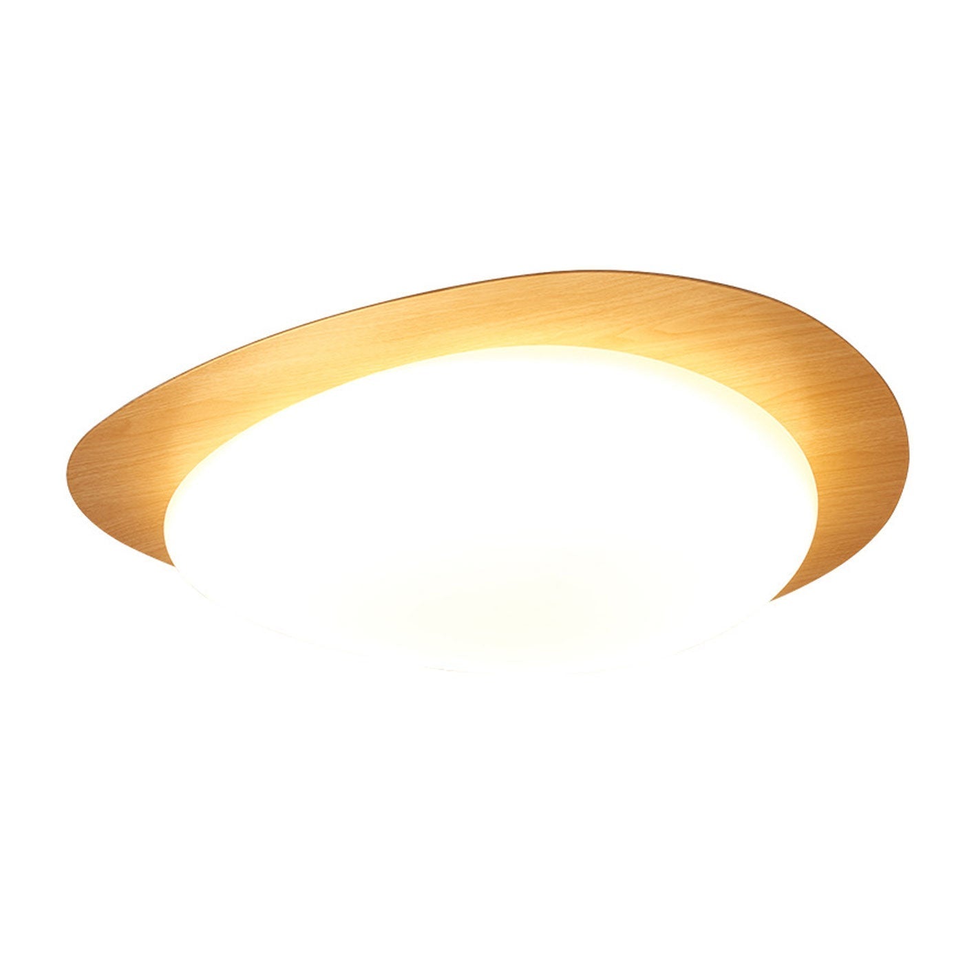 Flush Mount Ceiling Light Iron Acrylic 15.4 in Small Hallway Living Room Bedroom Adjustable LED Lighting | Thomler