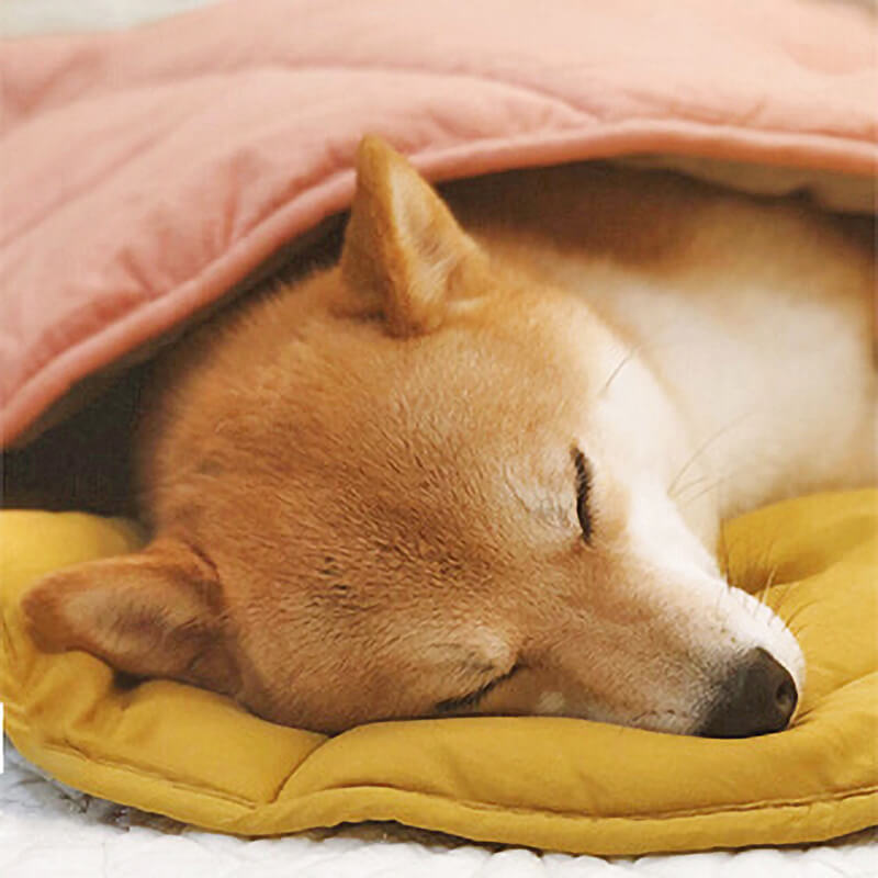 Botanical Leaf-Shaped Pet Throw Blanket - Soft Cotton-Polyester Cover for Dogs & Cats - Machine Washable Couch Protector & Floor Mat for | Thomler