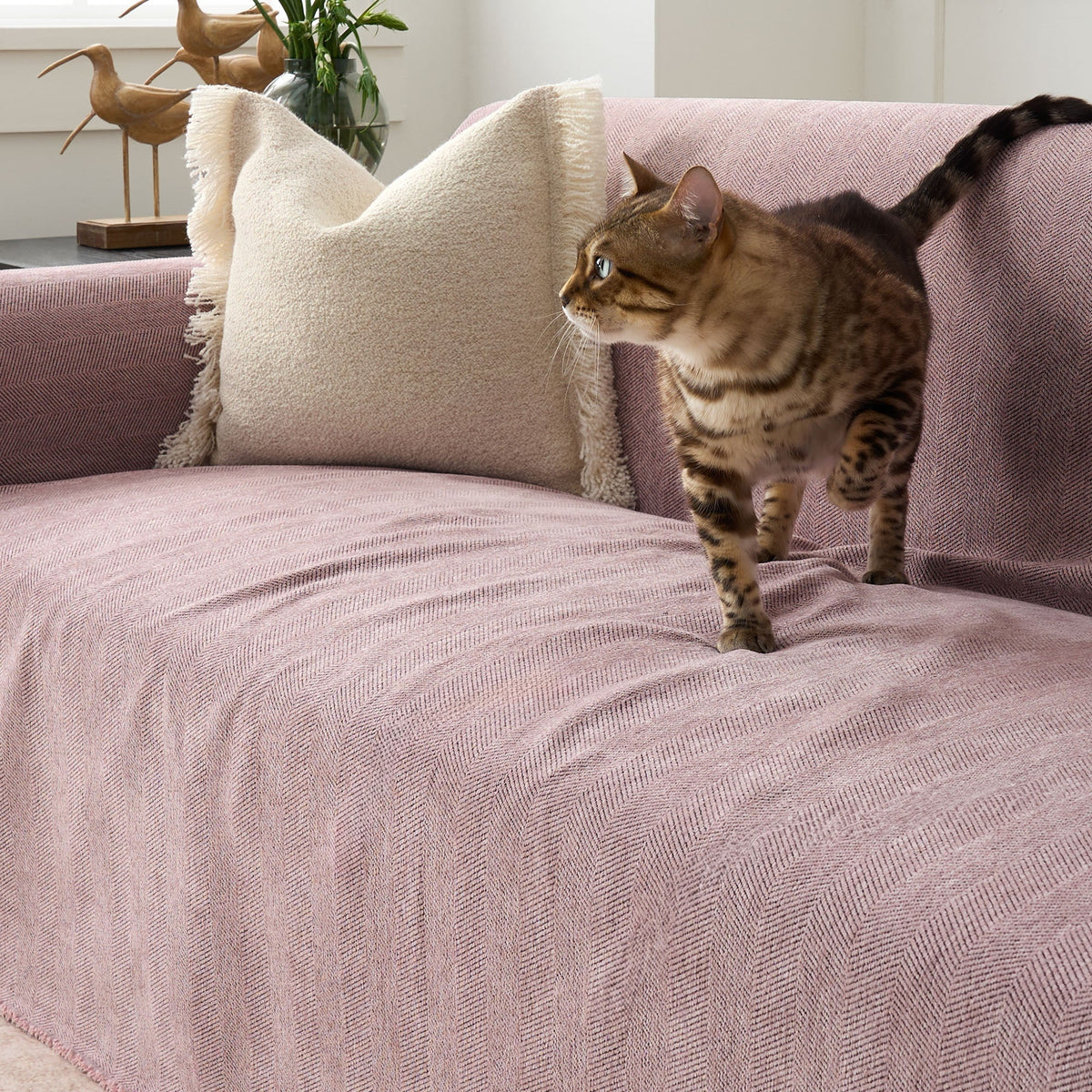 Textured Furniture Throw Blanket for Couches – Scratch-Resistant & Machine Washable | Thomler