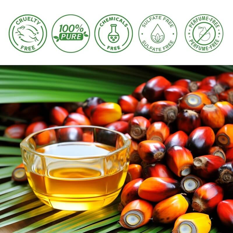 Natural Hair Growth Treatment Oil with Vitamins for Thinning Hair and Scalp Nourishment for Women and Men | Thomler