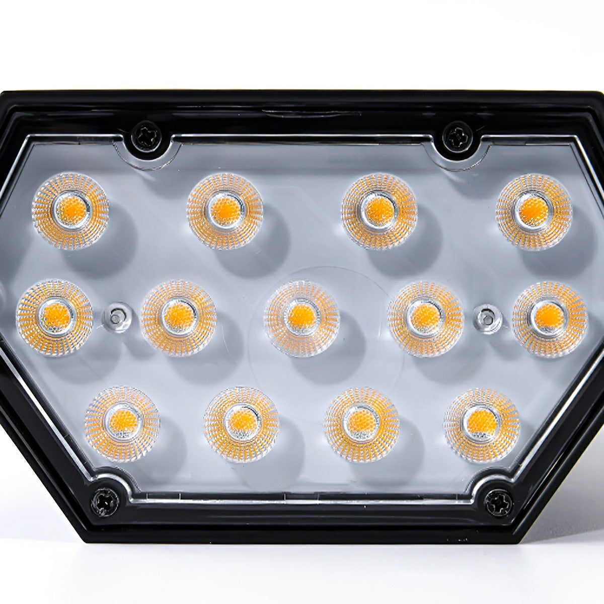 Solar-Powered LED Accent Light for Yards, Patios & Gardens – Directional Ground or Wall Mount | Thomler