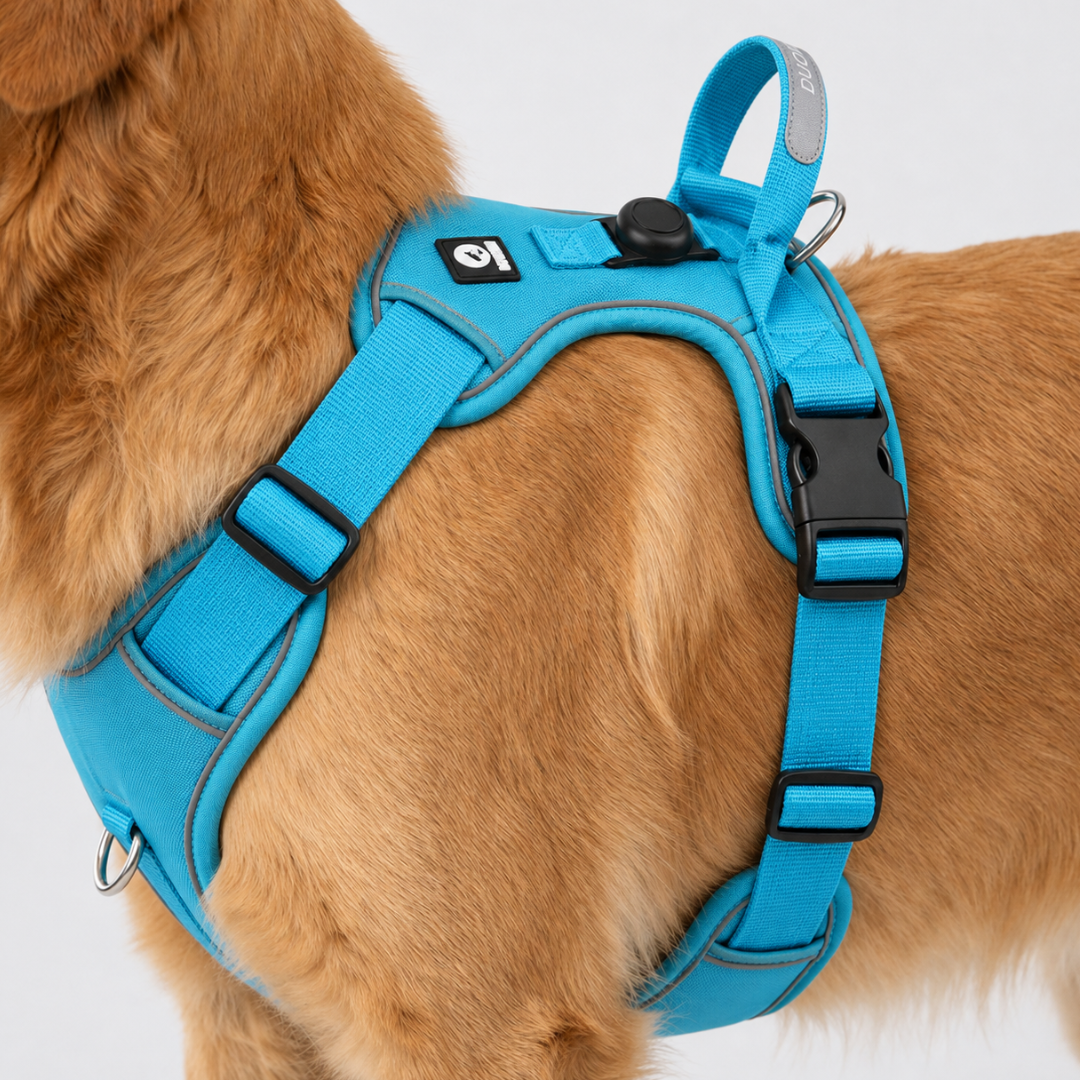 Adjustable Anti-Pull Dog Vest with Front Clip and Reflective Trim for Small to Large Breeds | Thomler