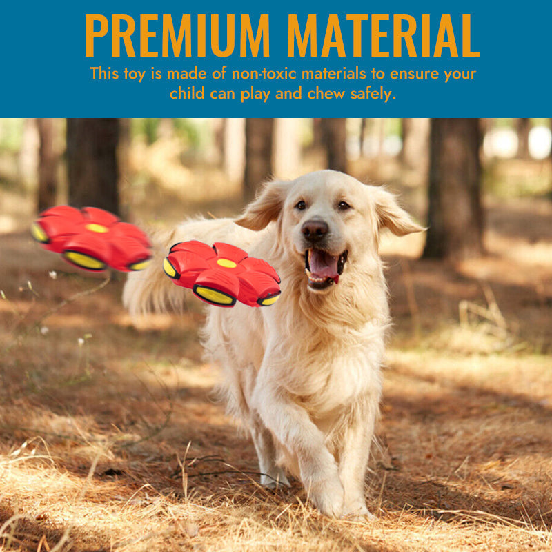 Self-Rolling LED Dog Ball Toy – Motion-Activated Light-Up Frisbee Disc for Interactive Fetch & Indoor Outdoor Play | Thomler