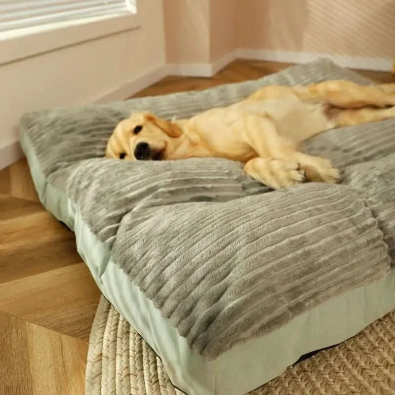Orthopedic Dog Bed with Plush Cover - Memory Foam Support for Joint Relief & Comfort | Thomler
