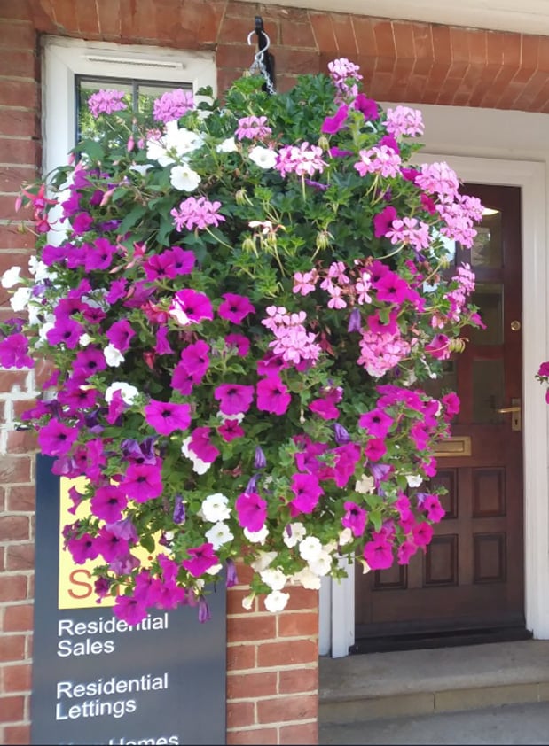 Faux Morning Glory Vine 35 in – 44 Blooms UV-Resistant Artificial Climbing Plant for Fence Porch Indoor Outdoor Décor | Thomler