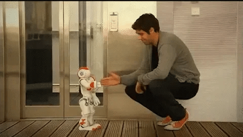 Interactive Gesture-Control Robot for Kids – Dancing, Musical Learning Toy with Voice & Programming | Educational STEM Playtime Companion | Thomler