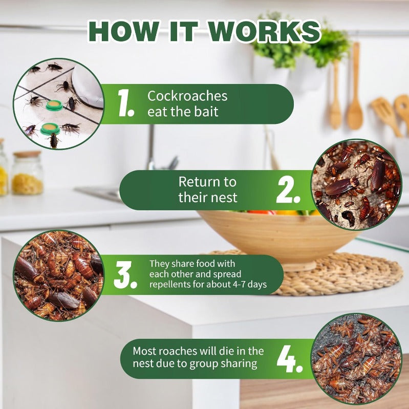 Roach Trap Station Discs for Kitchen & Bathroom – Safe Around Kids & Pets – Colony Elimination Bait – 12/24/36 Count | Thomler