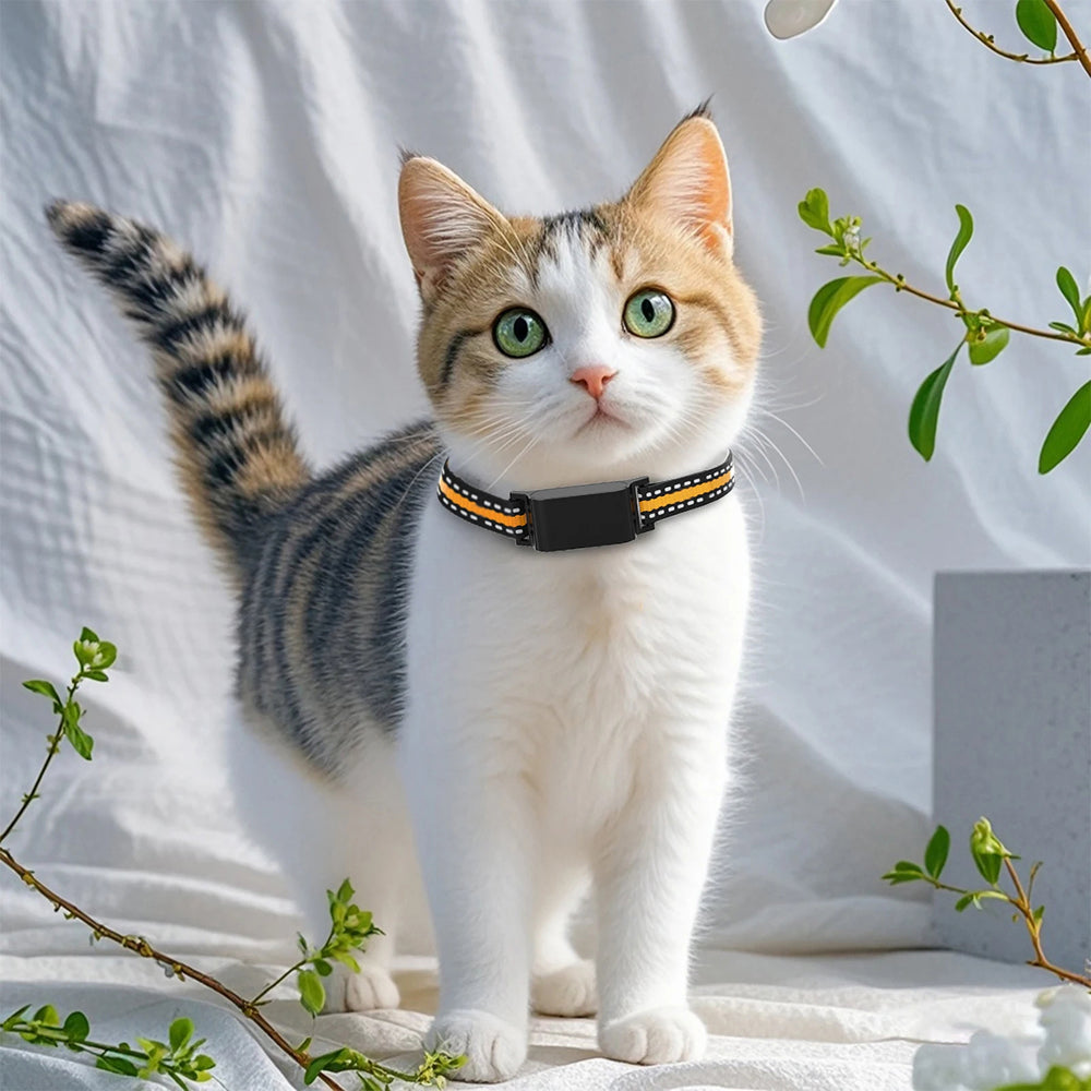 Collar-Mounted GPS Location Monitor for Cats with Geofence Alerts, Historical Route Logging & Multi-Technology Positioning for Indoor & | Thomler