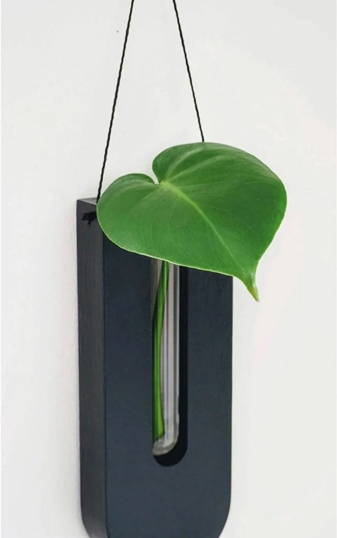 Wall Planter Pine Wood Set Of 7 Vertical Indoor Plant Holders For Dried Flowers And Succulents | Thomler