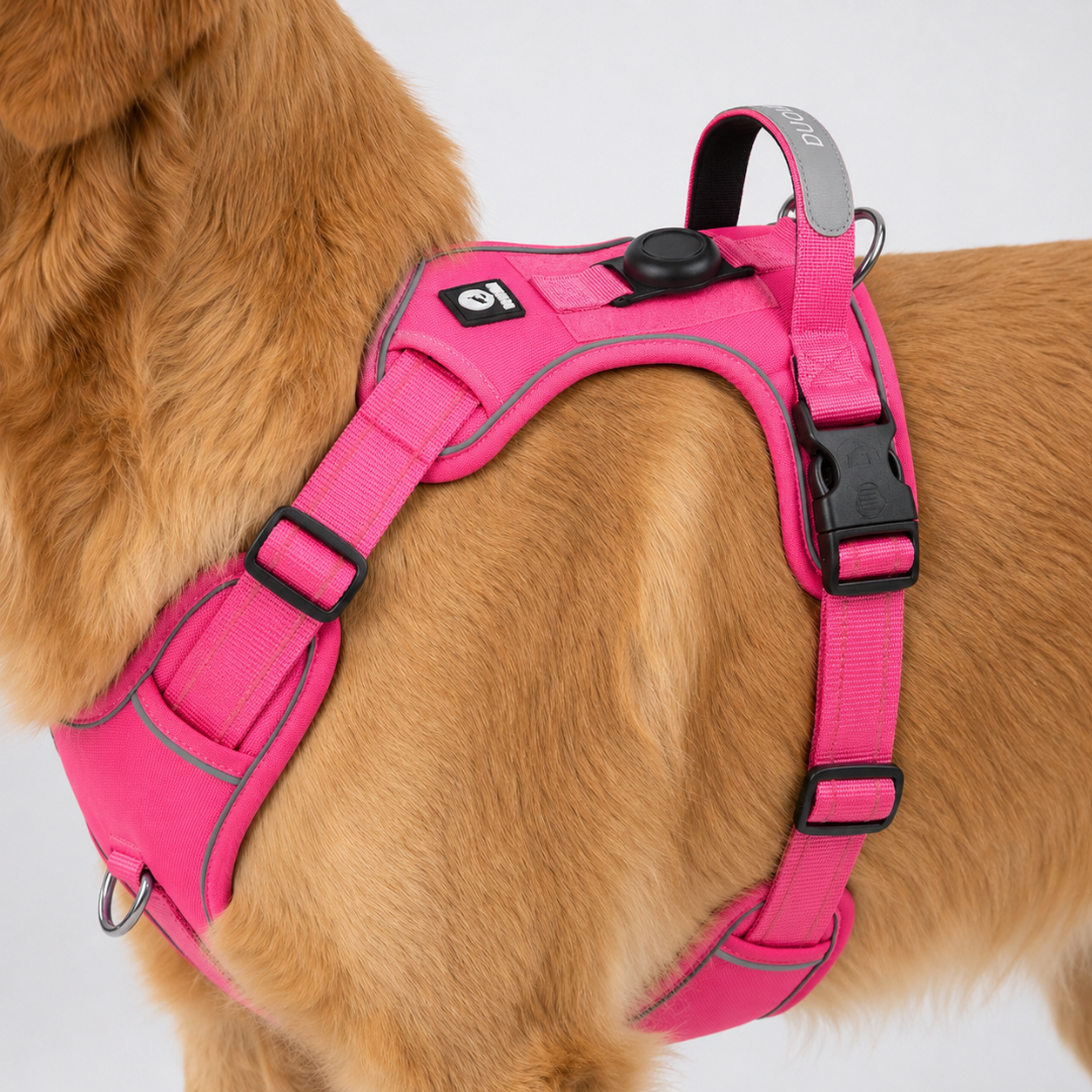 Adjustable Anti-Pull Dog Vest with Front Clip and Reflective Trim for Small to Large Breeds | Thomler