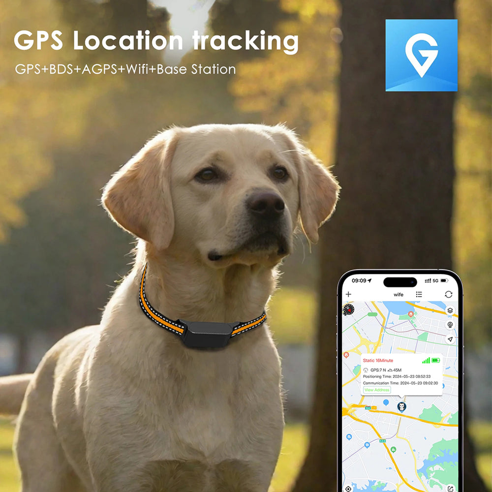 Collar-Mounted GPS Location Monitor for Cats with Geofence Alerts, Historical Route Logging & Multi-Technology Positioning for Indoor & | Thomler