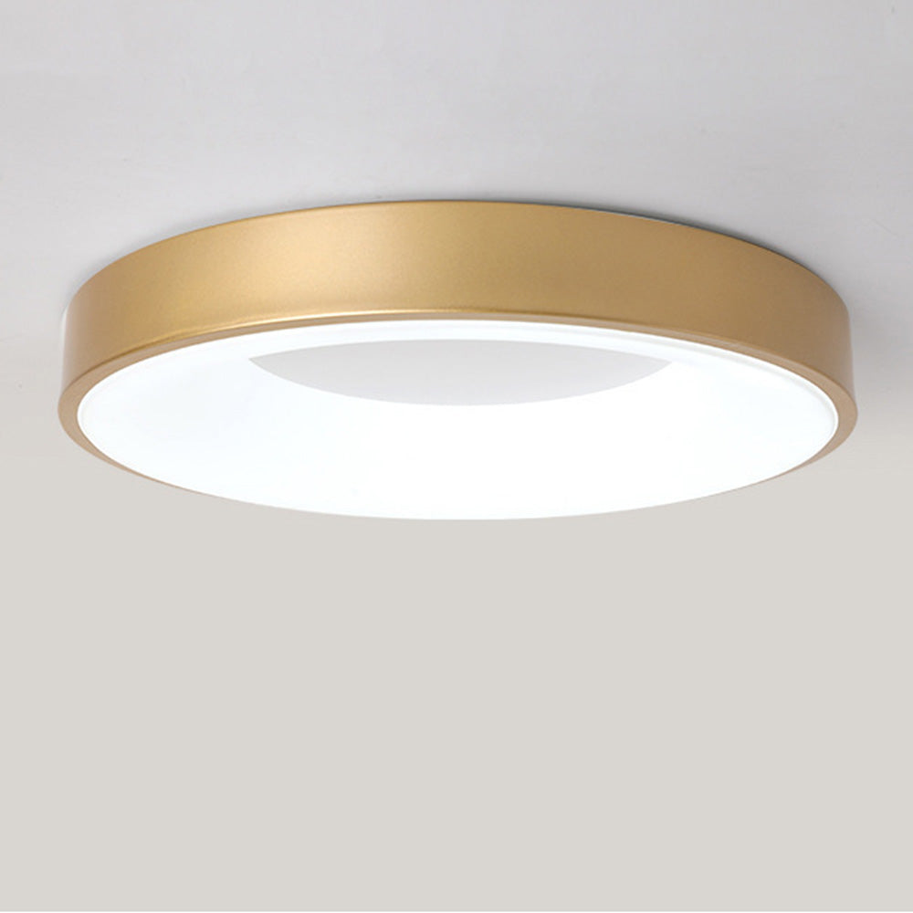 Ceiling Light Iron Acrylic LED 220–240V Round Low Ceiling Bedroom Hallway Flush Mount Living Room Lighting | Thomler