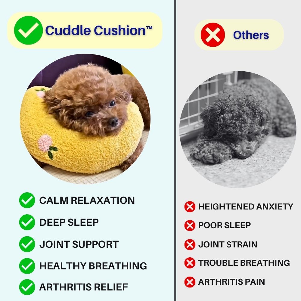 Bolstered Pet Bed for Dogs & Cats | Anxiety Relief Sleeping Cushion with Raised Edges | Machine Washable Portable Travel Pillow | Plush | Thomler