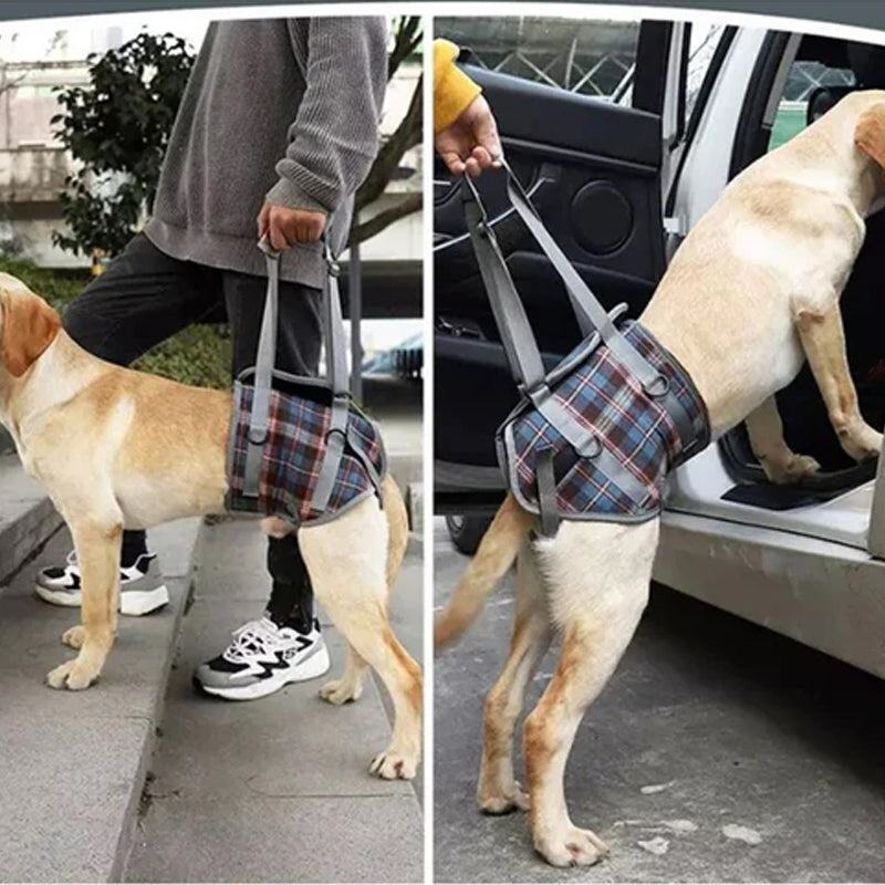 Rear Leg Support Harness for Dogs – Adjustable Lift Sling for Hip Stability, Arthritis & Mobility Assistance | Thomler