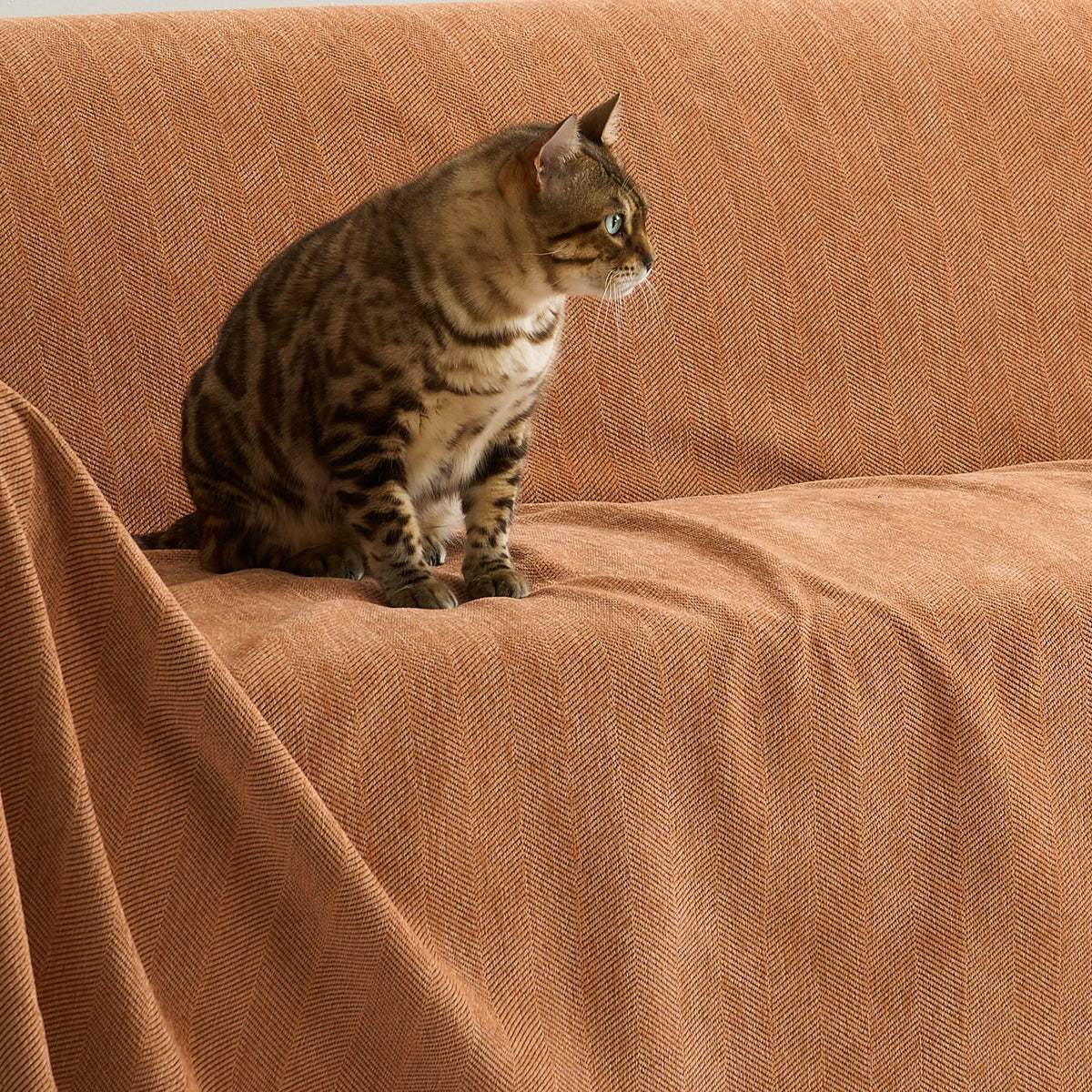 Textured Furniture Throw Blanket for Couches – Scratch-Resistant & Machine Washable | Thomler