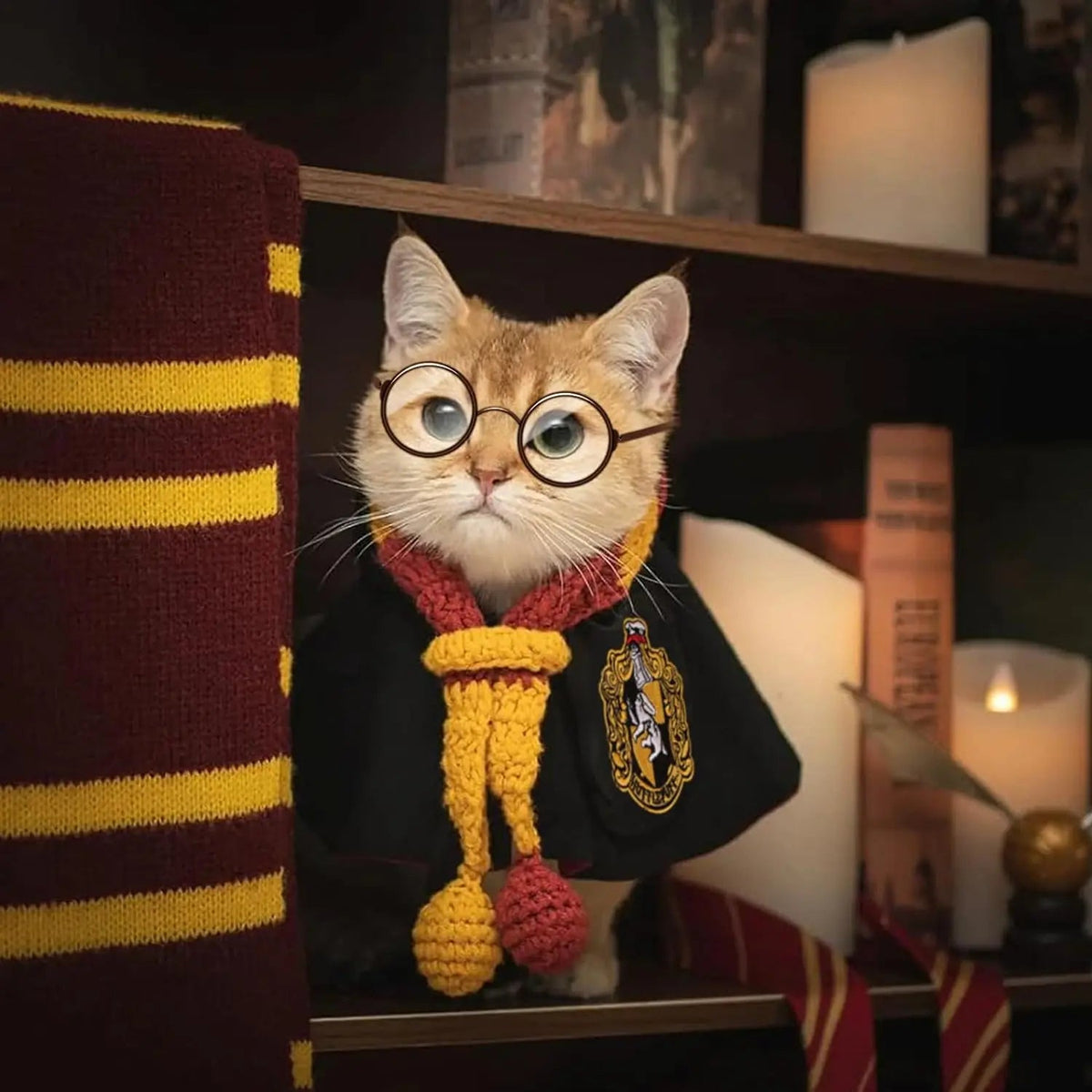Wizard Robe Outfit for Dogs and Cats with Spectacles & Bow Tie – Spooky Season Dress-Up Accessories | Thomler