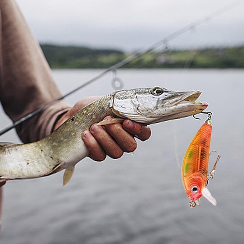Fishing Tackle Advent Calendar – 24-Day Angler's Countdown with Lures, Hooks & Gear | Thomler