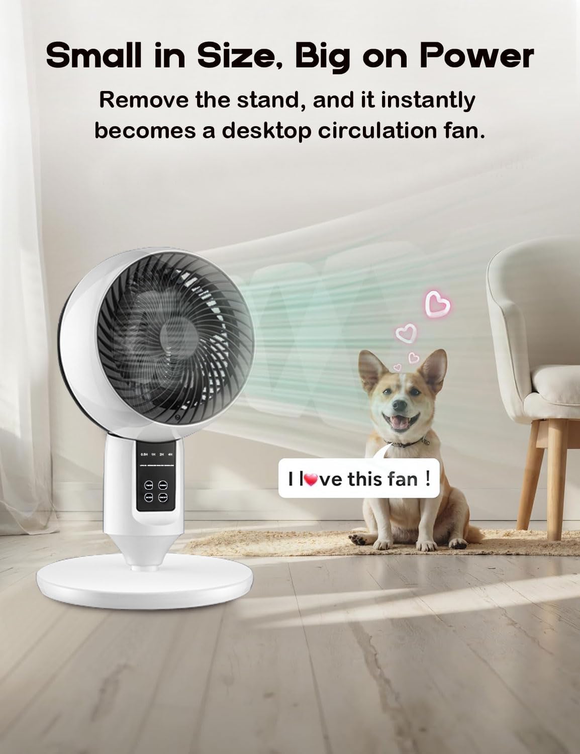 Height-Adjustable Pedestal Fan with 3D Oscillation – Quiet Cooling for Bedroom, Office & Living Room | Thomler