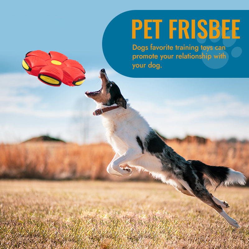 Self-Rolling LED Dog Ball Toy – Motion-Activated Light-Up Frisbee Disc for Interactive Fetch & Indoor Outdoor Play | Thomler