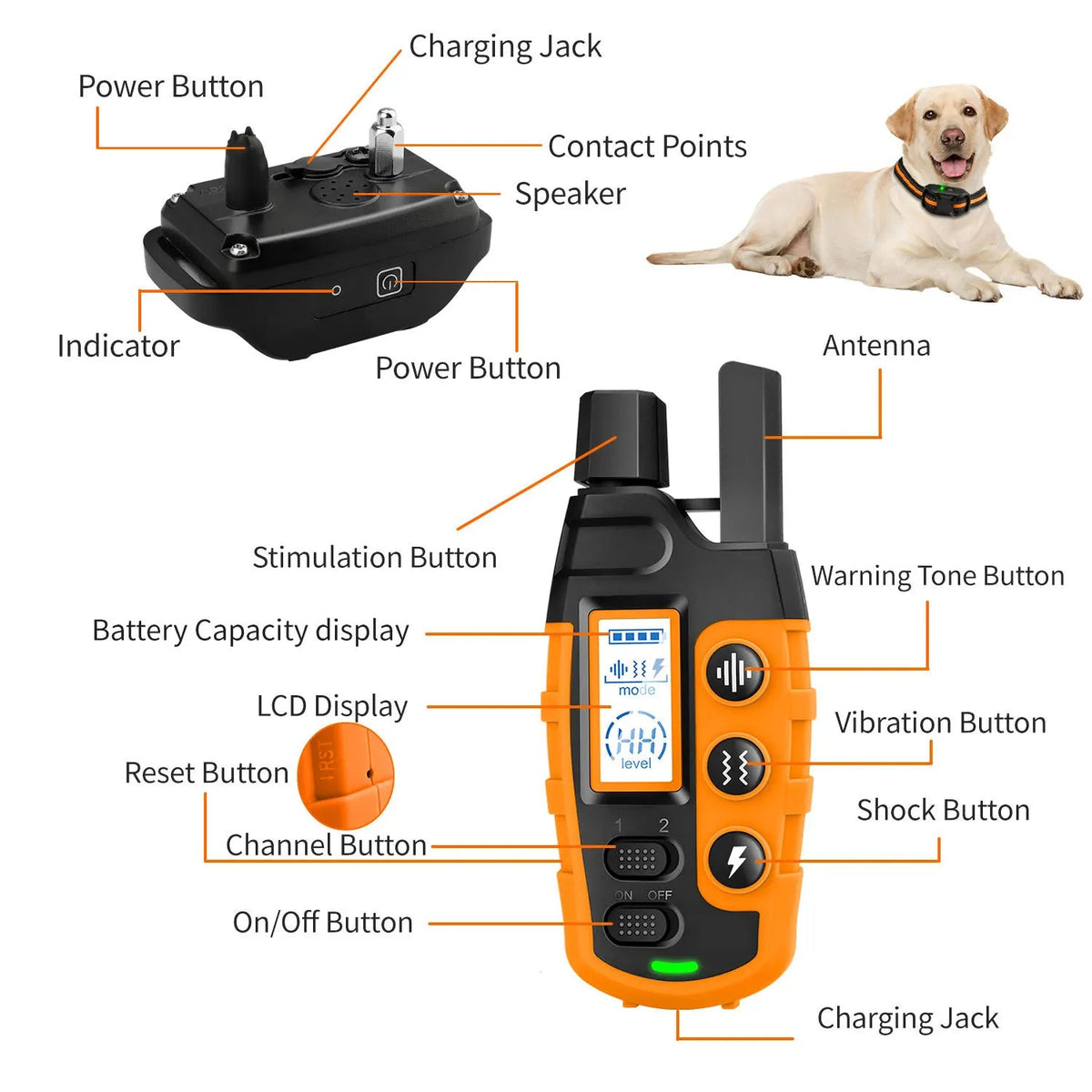 Remote Dog Training Collar – 3,280 ft Range, Waterproof, 3 Modes for All Breeds | Thomler