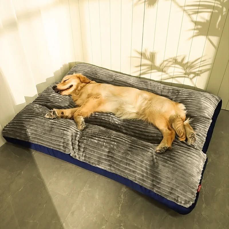 Orthopedic Dog Bed with Plush Cover - Memory Foam Support for Joint Relief & Comfort | Thomler