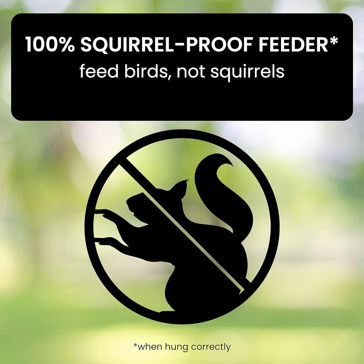 Weighted Rotating Perch Wild Bird Feeder with Anti-Rodent Spin Mechanism for Cardinals, Finches, Chickadees | Hanging Outdoor Seed Station | Thomler