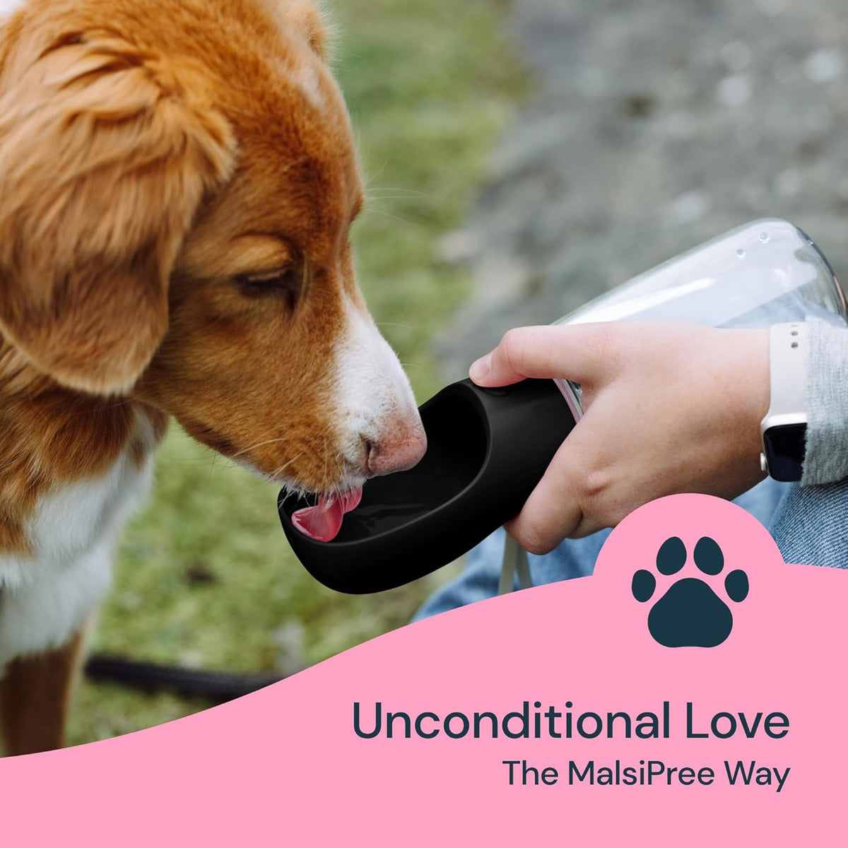 Travel Hydration Dispenser for Dogs with Flip-Top Bowl – 19 fl oz Leak-Proof Design | Thomler