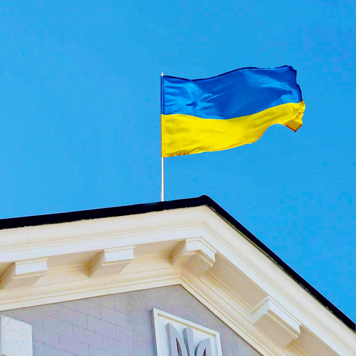 Blue & Yellow National Banner with Brass Grommets – Durable Polyester Hanging Flag for Indoor & Outdoor Display, 24×35 in to 59×94 in | Thomler