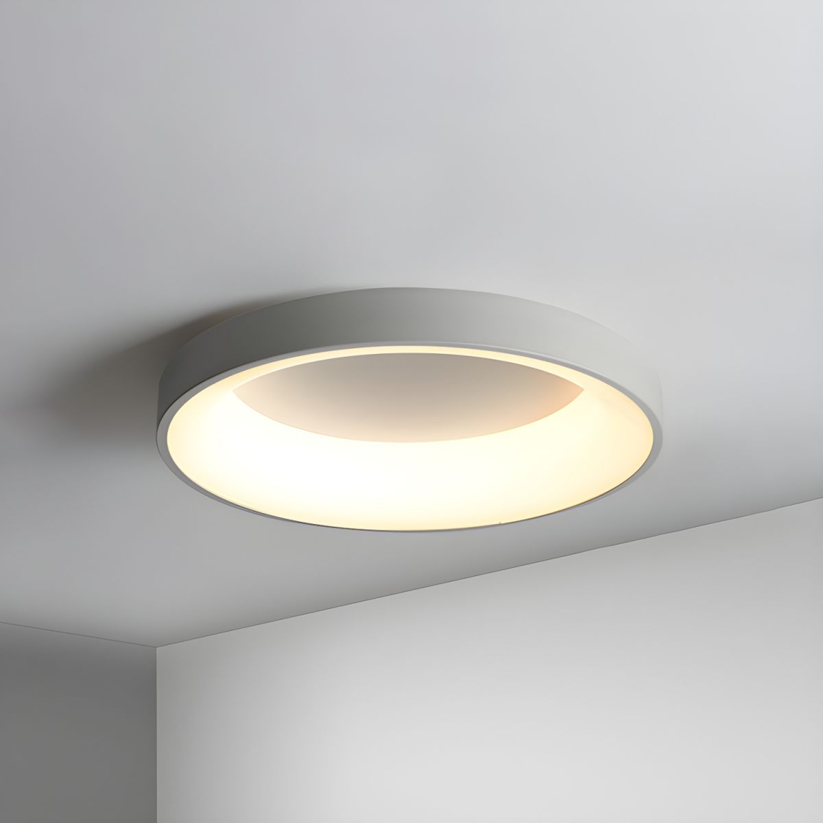 Ceiling Light Iron Acrylic LED 220–240V Round Low Ceiling Bedroom Hallway Flush Mount Living Room Lighting | Thomler