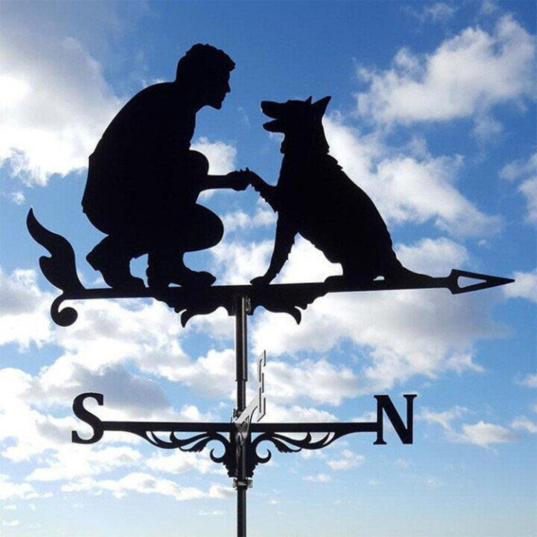 Decorative Weather Vane for Yard – Stainless Steel Wind Direction Indicator, Weatherproof Garden Accent | Thomler