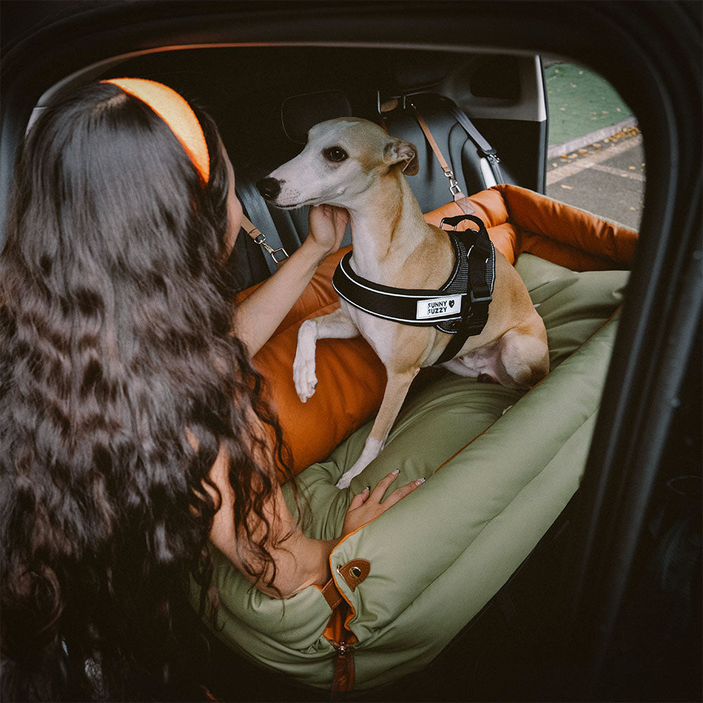 Portable Pet Travel Carrier Bed with Safety Leash for Small to Medium Dogs – Waterproof Faux Leather Car Booster Seat & Indoor Lounge | Thomler