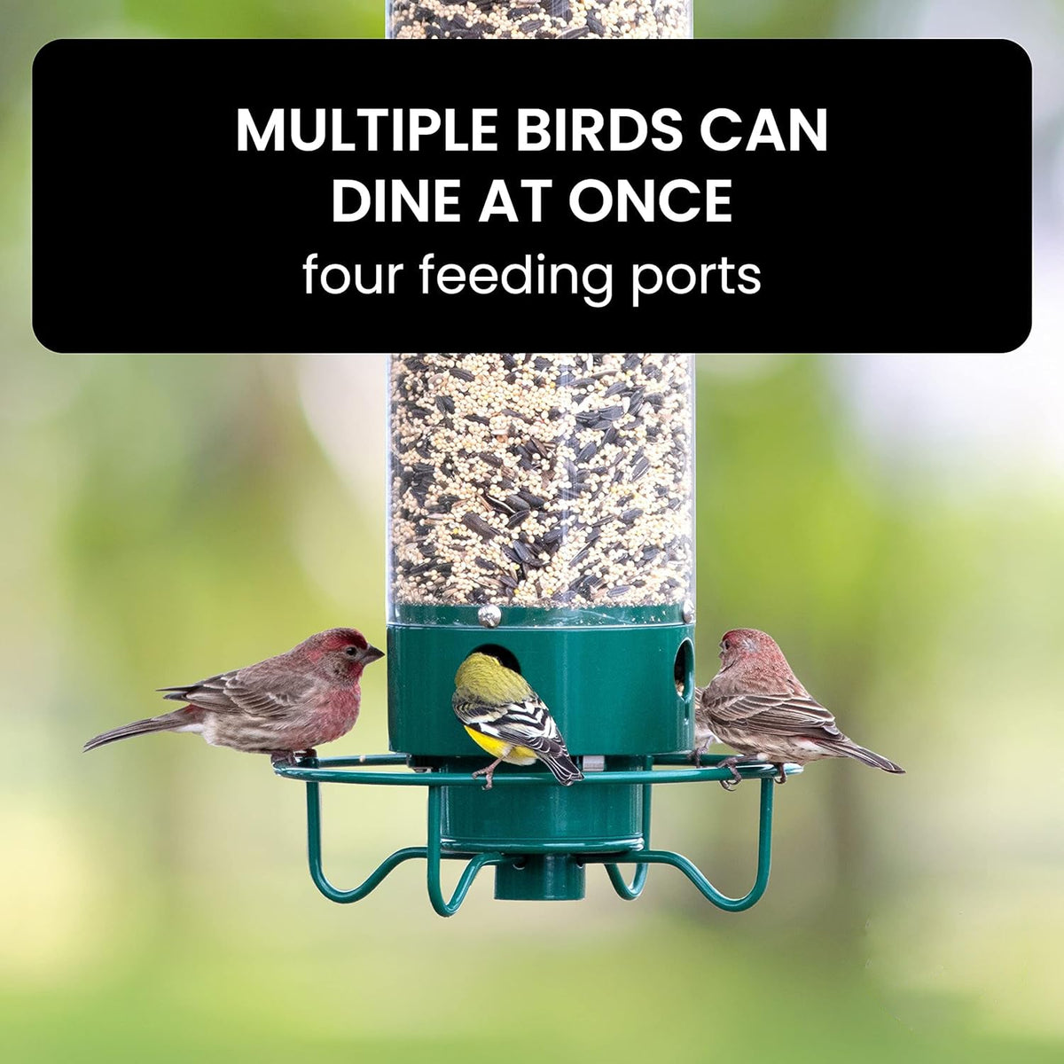 Weighted Rotating Perch Wild Bird Feeder with Anti-Rodent Spin Mechanism for Cardinals, Finches, Chickadees | Hanging Outdoor Seed Station | Thomler