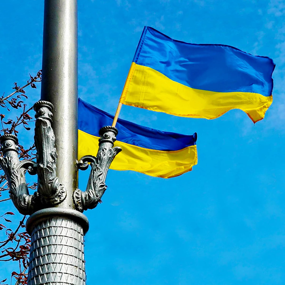 Blue & Yellow National Banner with Brass Grommets – Durable Polyester Hanging Flag for Indoor & Outdoor Display, 24×35 in to 59×94 in | Thomler