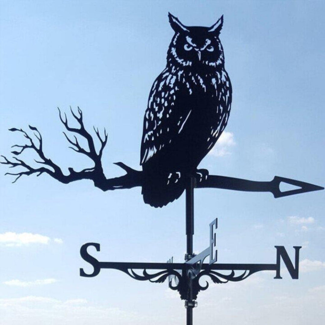 Decorative Weather Vane for Yard – Stainless Steel Wind Direction Indicator, Weatherproof Garden Accent | Thomler