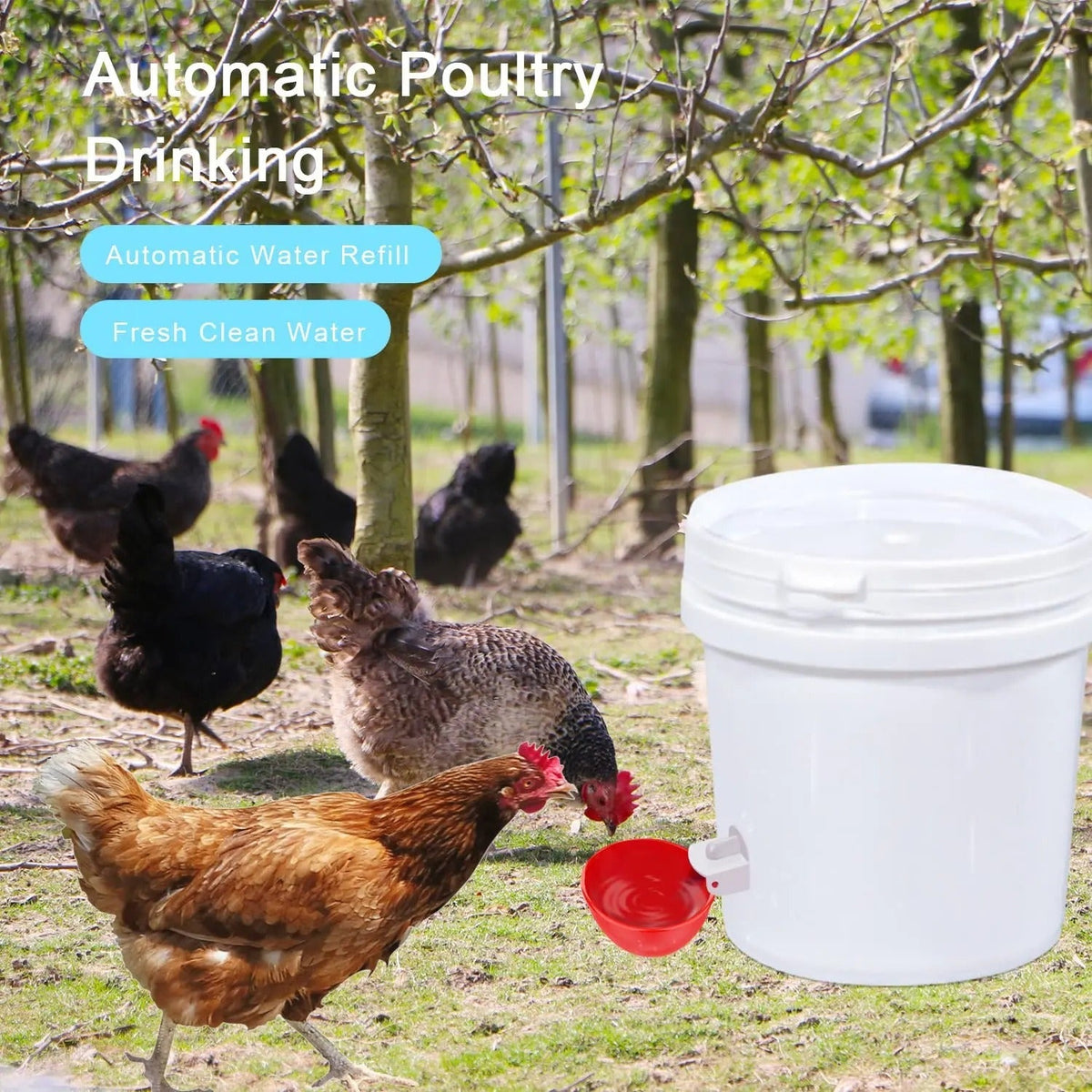 Self-Refilling Poultry Drinking Cups – 10-Pack with Drill Bit for Chickens, Ducks & Game Birds | Thomler