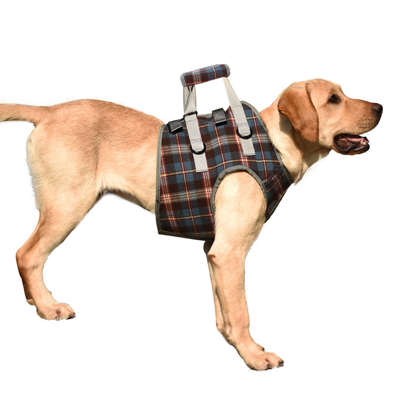 Rear Leg Support Harness for Dogs – Adjustable Lift Sling for Hip Stability, Arthritis & Mobility Assistance | Thomler